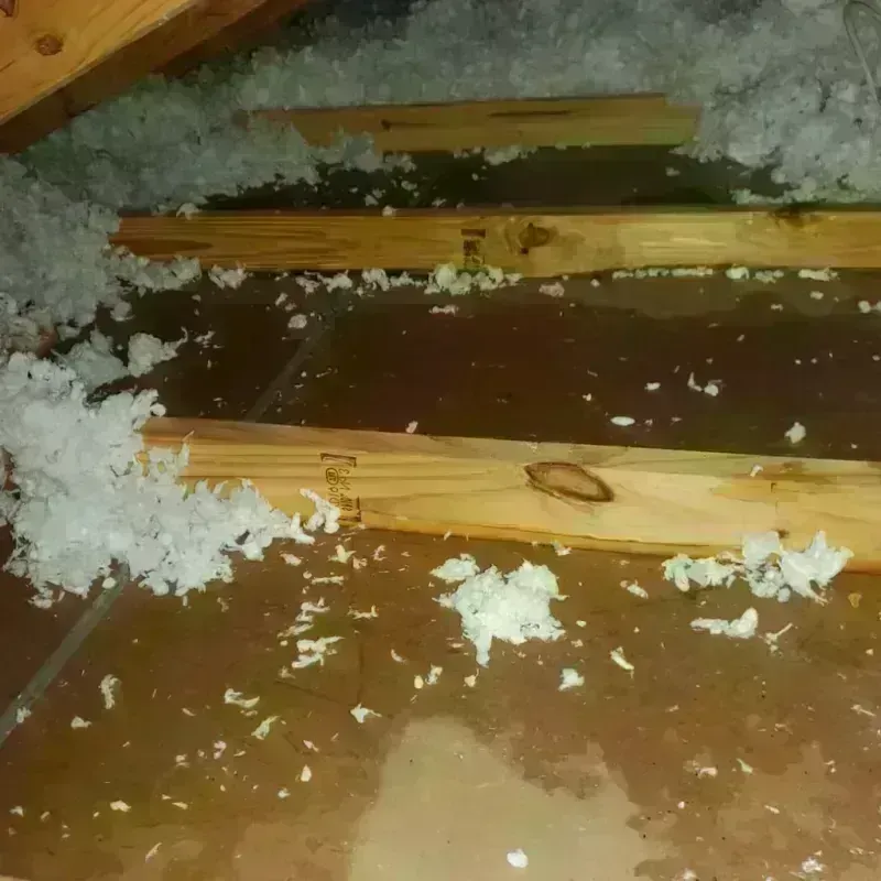 Attic Water Damage in McLennan County, TX